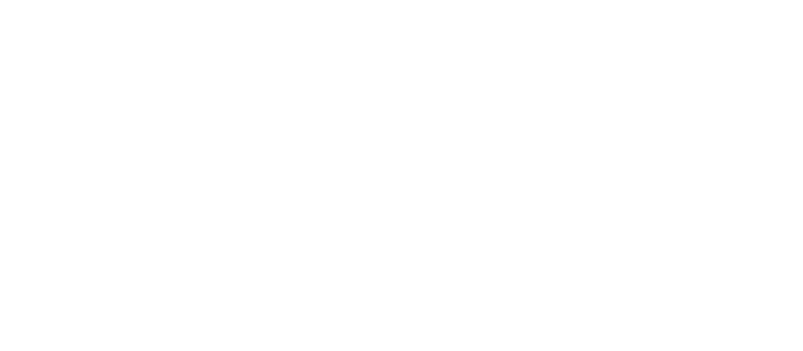 Bravo Group